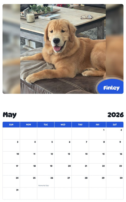2026 - 2027 Finley - Pawidols Pet Calendar
