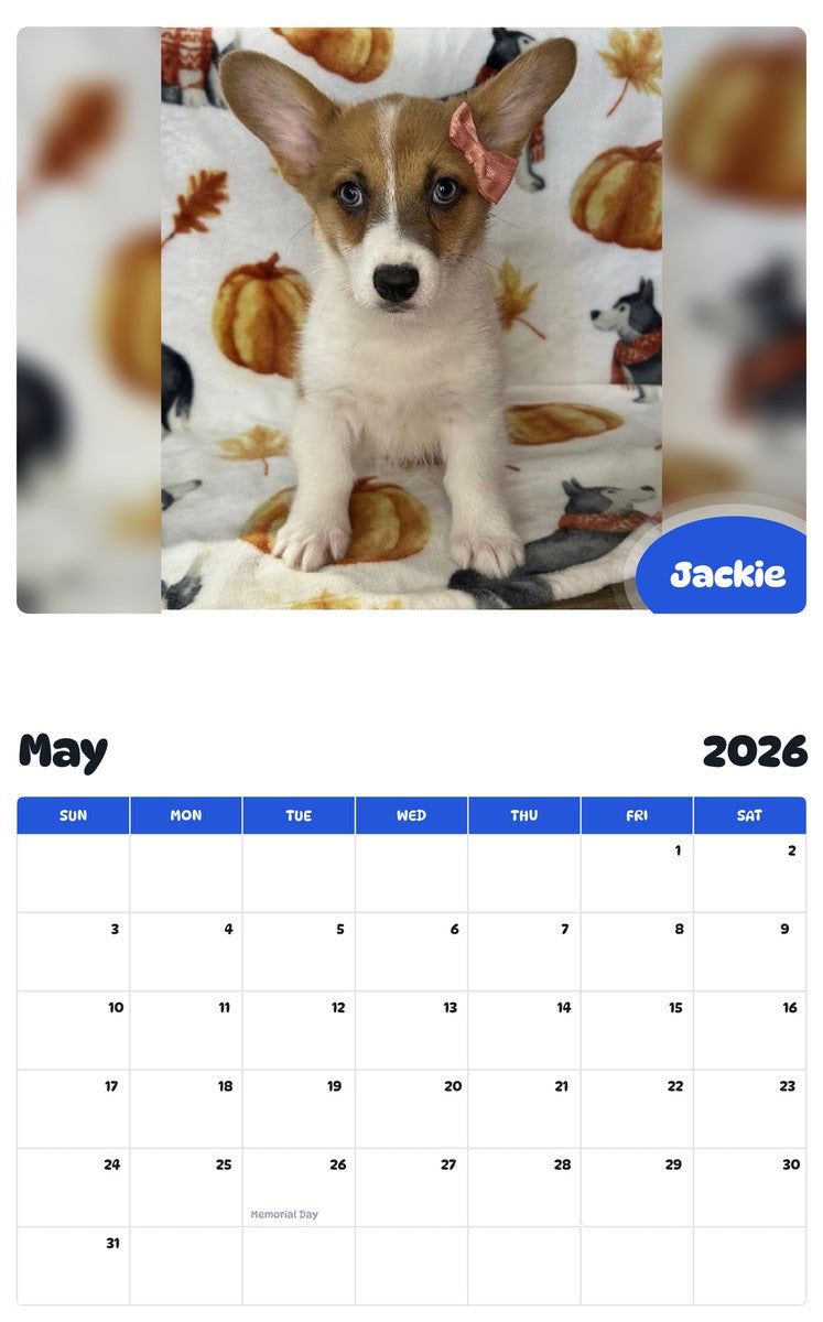 2026 - 2027 Jackie - Pawidols Pet Calendar