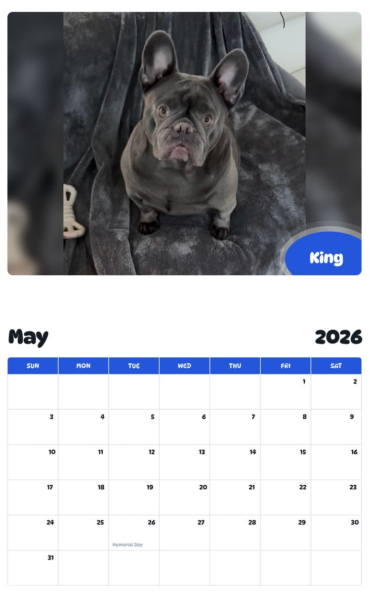 2026 - 2027 King - Pawidols Pet Calendar