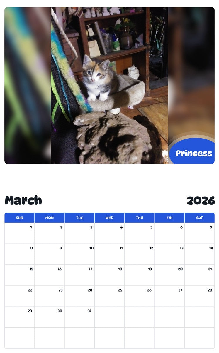November 2025 - October 2026 Princess - Pawidols Pet Calendar
