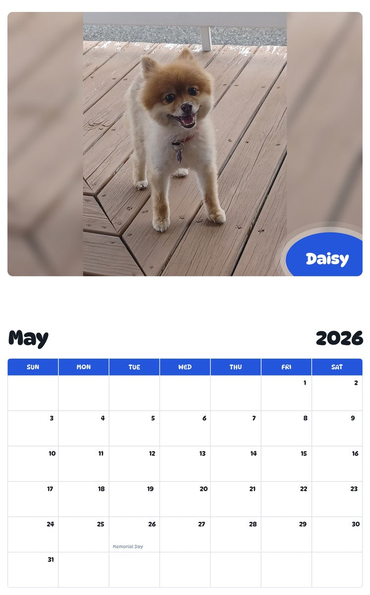 2026 - 2027 Daisy - Pawidols Pet Calendar