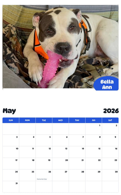 2026 - 2027 Bella Ann - Pawidols Pet Calendar