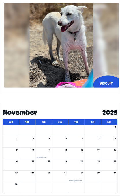 July 2025 - June 2026 Biscuit - Pawidols Pet Calendar