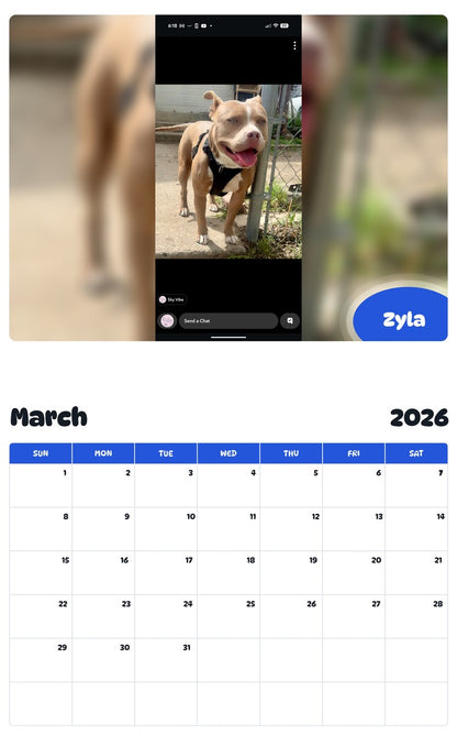 November 2025 - October 2026 Zyla - Pawidols Pet Calendar