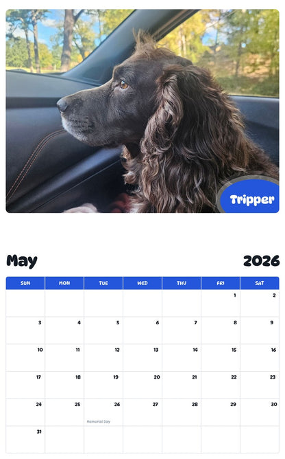 2026 - 2027 Tripper - Pawidols Pet Calendar