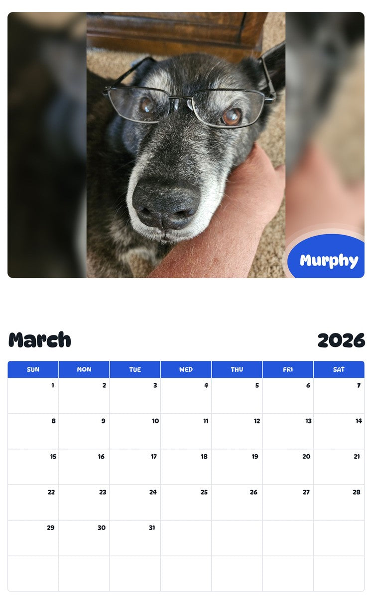 November 2025 - October 2026 Murphy - Pawidols Pet Calendar