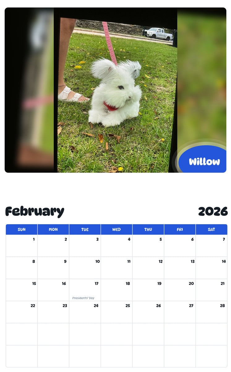 October 2025 - September 2026 Willow - Pawidols Pet Calendar