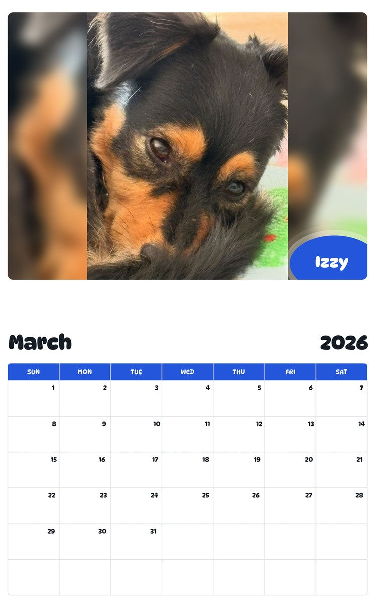 November 2025 - October 2026 Izzy - Pawidols Pet Calendar