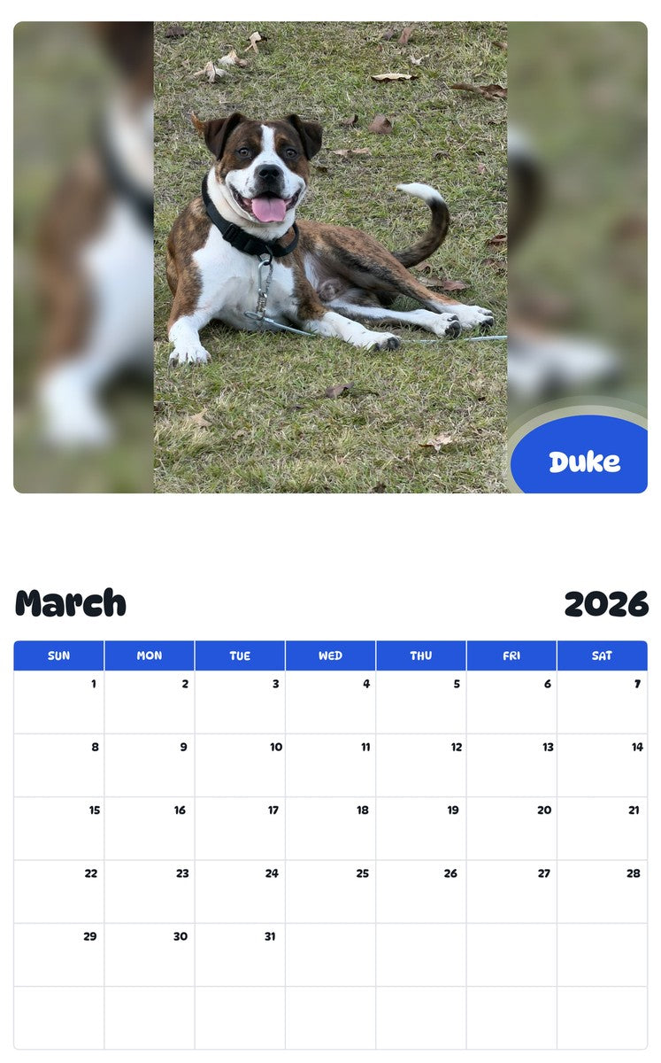 November 2025 - October 2026 Duke - Pawidols Pet Calendar