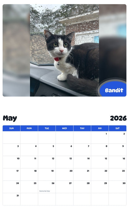 2026 - 2027 Bandit - Pawidols Pet Calendar
