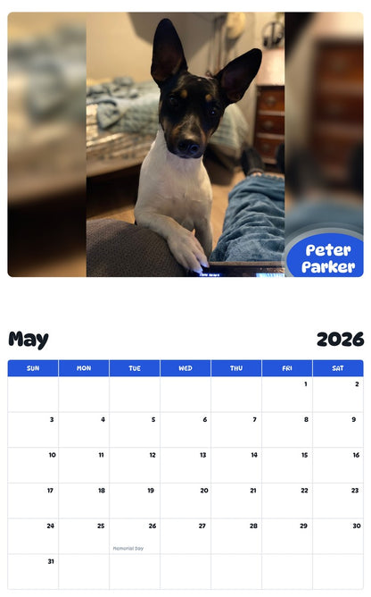2026 - 2027 Peter Parker - Pawidols Pet Calendar
