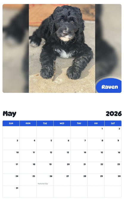 2026 - 2027 Raven - Pawidols Pet Calendar