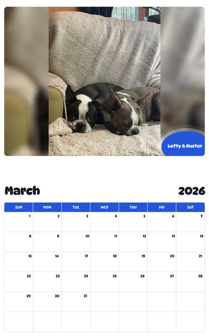 November 2025 - October 2026 Lefty & Buster - Pawidols Pet Calendar