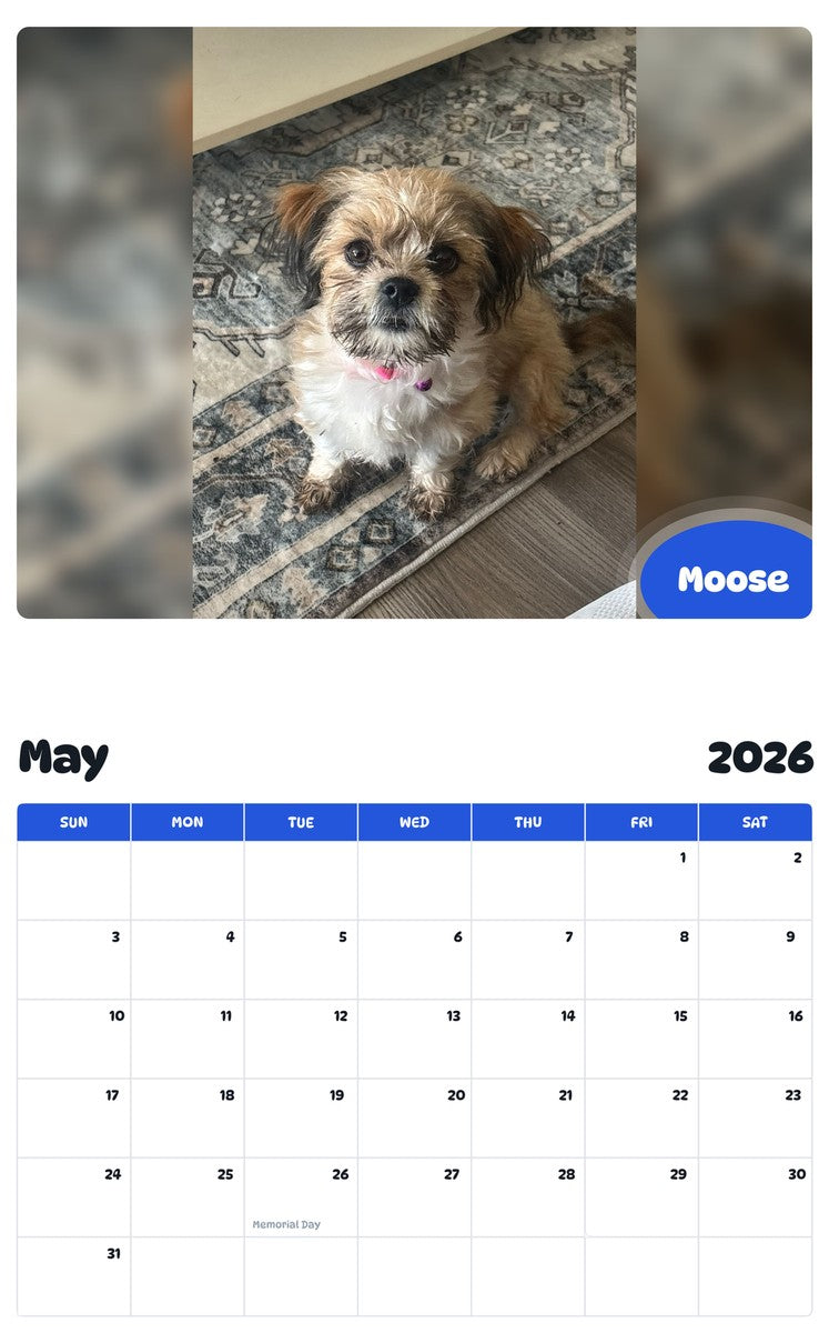 2026 - 2027 Moose - Pawidols Pet Calendar