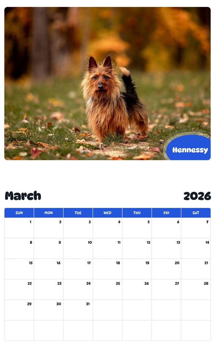 November 2025 - October 2026 Hennessy - Pawidols Pet Calendar