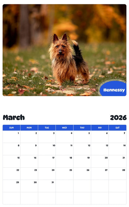November 2025 - October 2026 Hennessy - Pawidols Pet Calendar