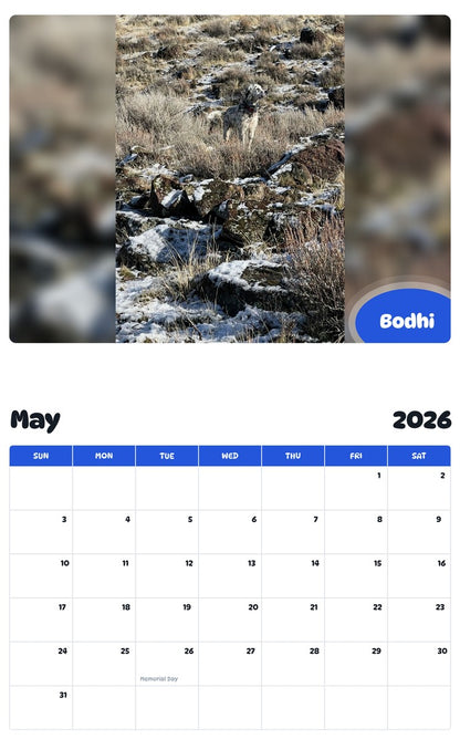 2026 - 2027 Bodhi - Pawidols Pet Calendar