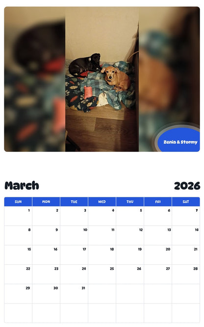November 2025 - October 2026 Zenia & Stormy - Pawidols Pet Calendar
