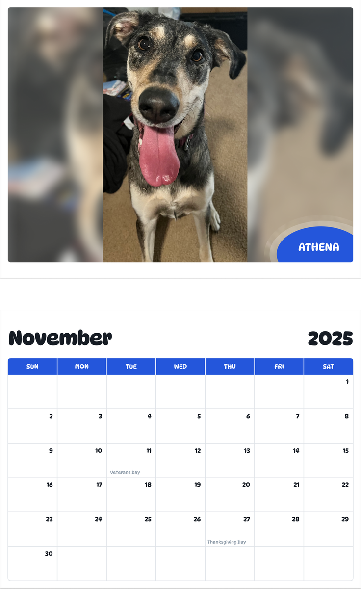 July 2025 - June 2026 Athena - Pawidols Pet Calendar