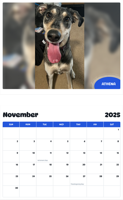 July 2025 - June 2026 Athena - Pawidols Pet Calendar