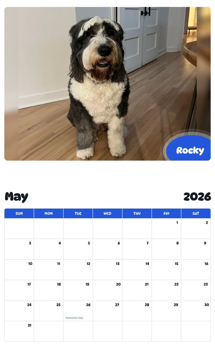 2026 - 2027 Rocky - Pawidols Pet Calendar