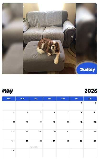 2026 - 2027 Dudley - Pawidols Pet Calendar