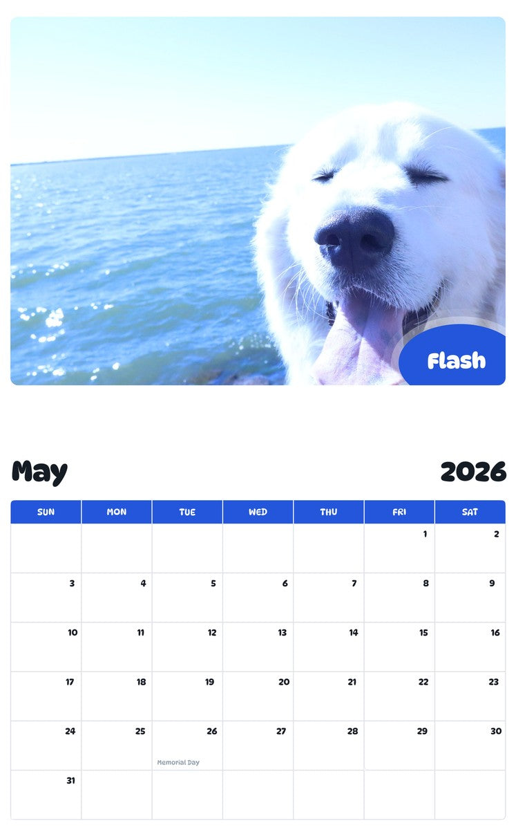 2026 - 2027 Flash - Pawidols Pet Calendar