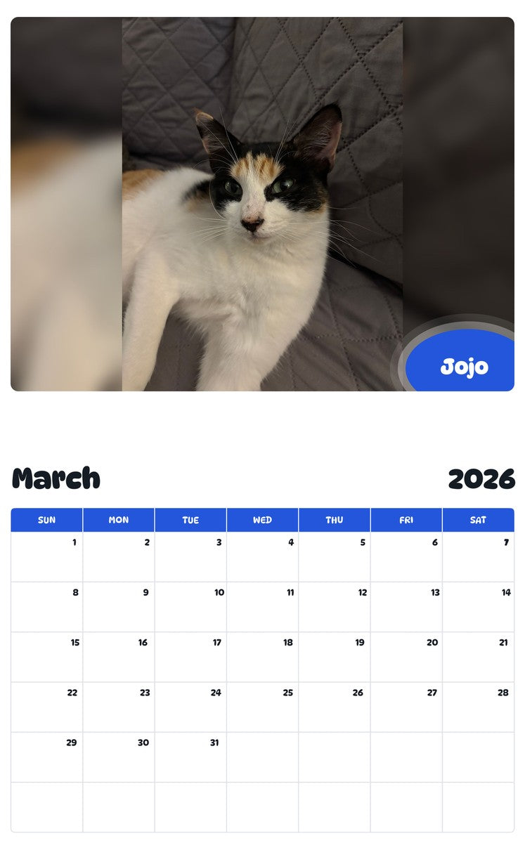 November 2025 - October 2026 Jojo - Pawidols Pet Calendar