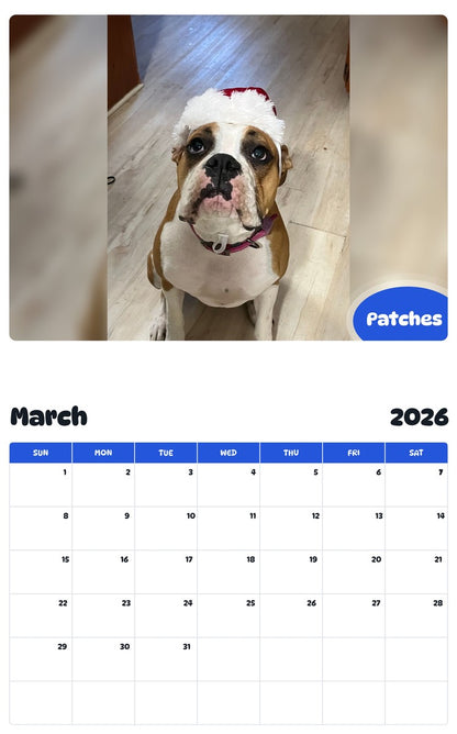 November 2025 - October 2026 Patches - Pawidols Pet Calendar