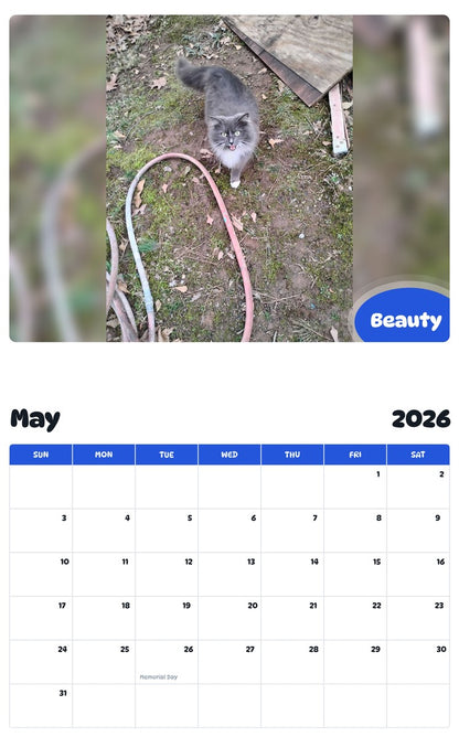 2026 - 2027 Beauty - Pawidols Pet Calendar