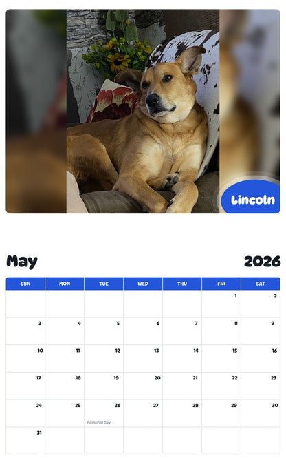 2026 - 2027 Lincoln - Pawidols Pet Calendar