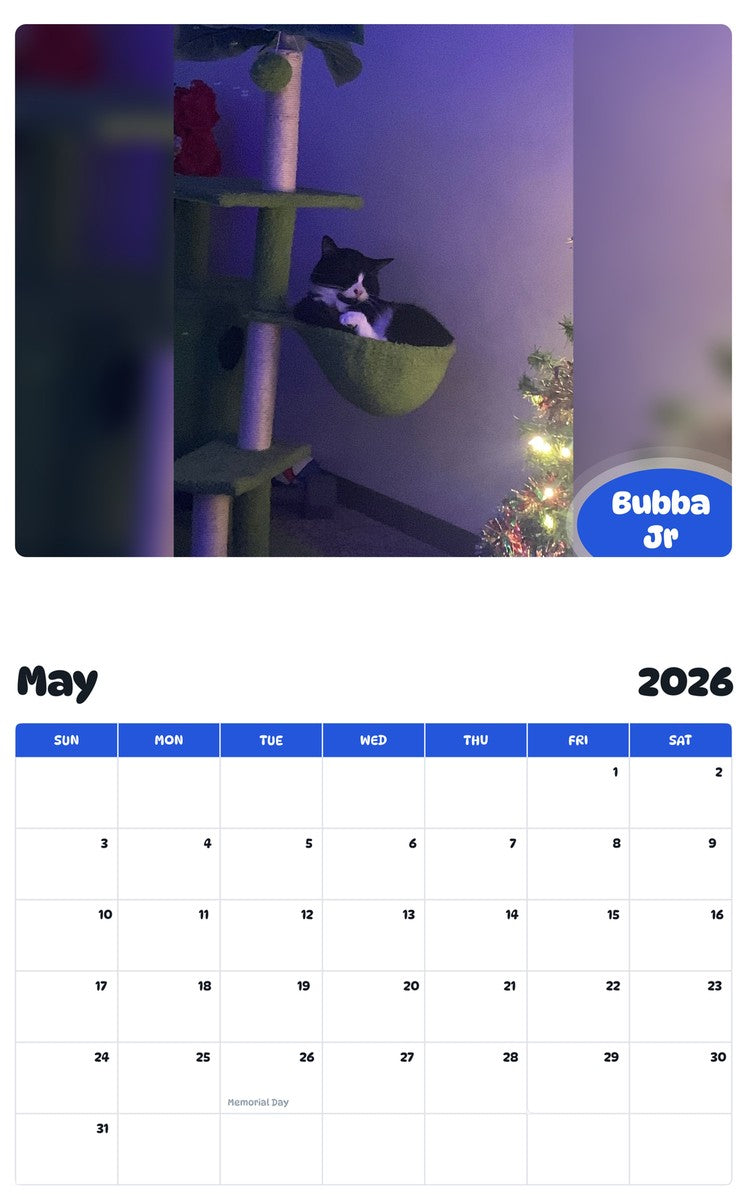 2026 - 2027 Bubba Jr - Pawidols Pet Calendar