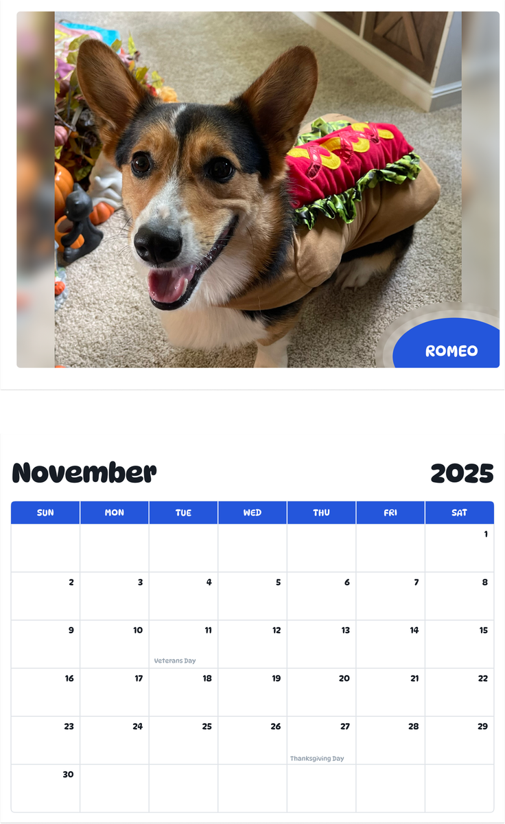 July 2025 - June 2026 Romeo - Pawidols Pet Calendar