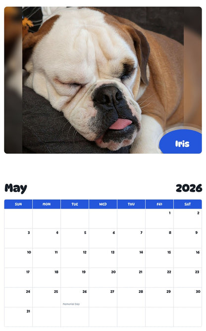 2026 - 2027 Iris - Pawidols Pet Calendar