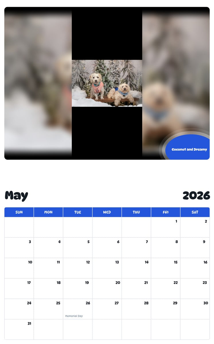 2026 - 2027 Coconut and Dreamy - Pawidols Pet Calendar