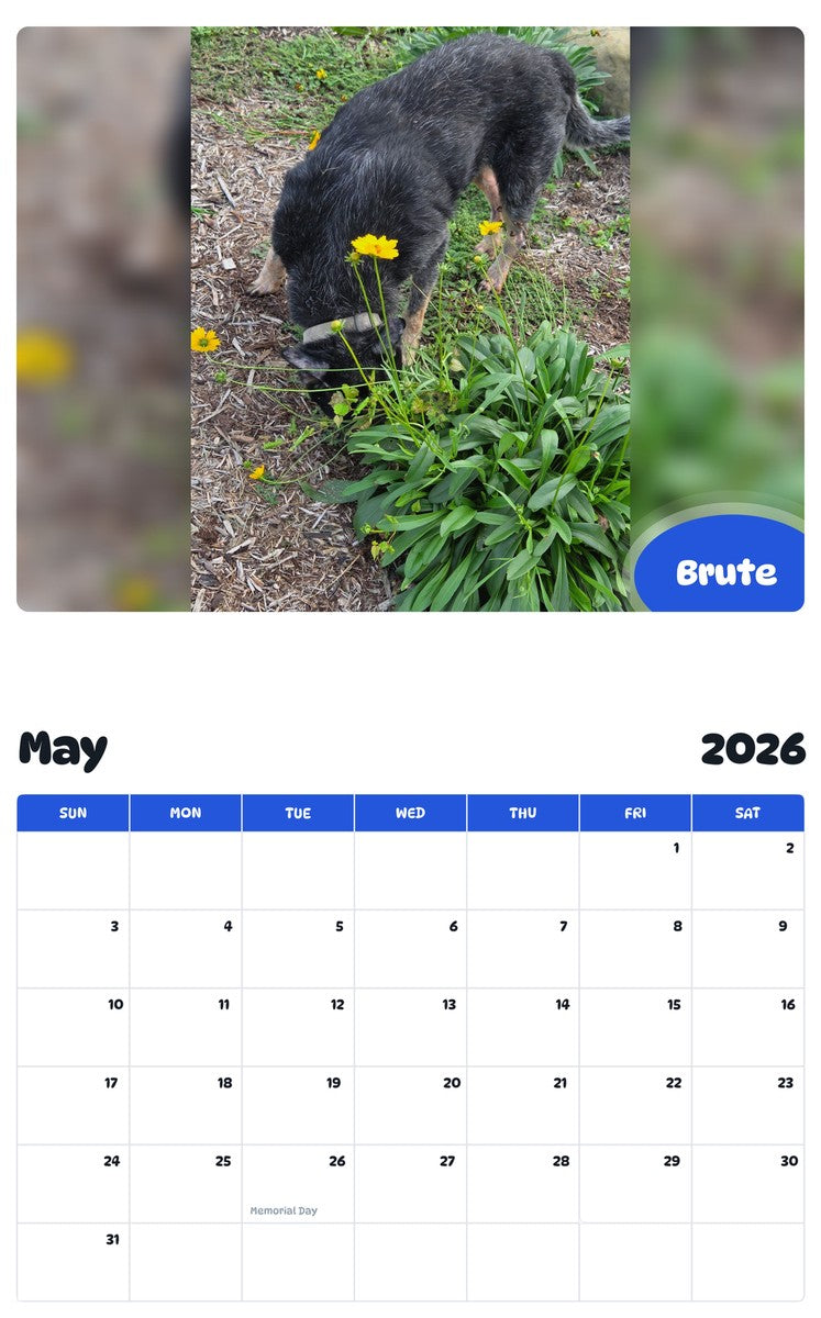 2026 - 2027 Brute - Pawidols Pet Calendar