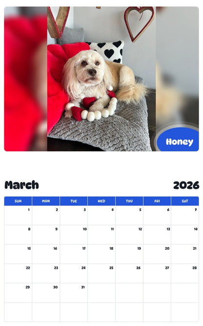 November 2025 - October 2026 Honey - Pawidols Pet Calendar