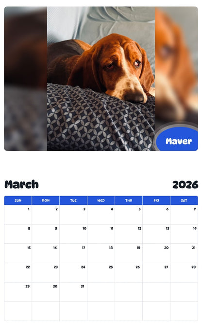 November 2025 - October 2026 Maver - Pawidols Pet Calendar