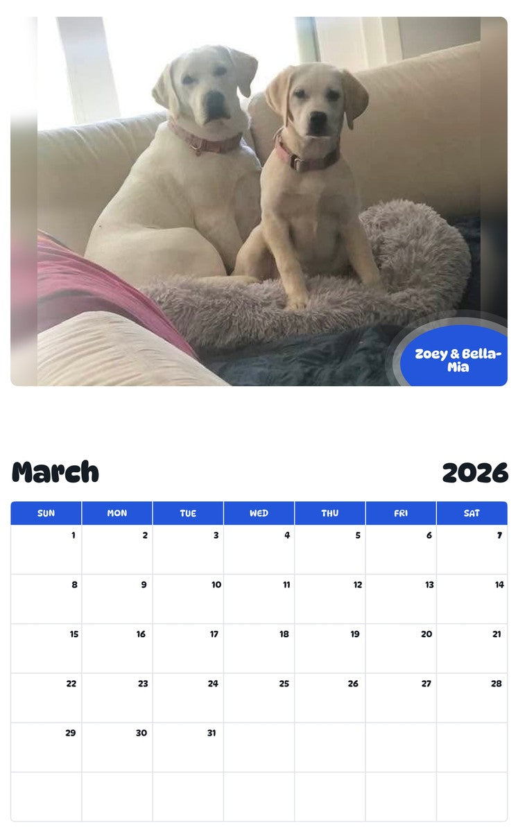 November 2025 - October 2026 Zoey & Bella-Mia - Pawidols Pet Calendar