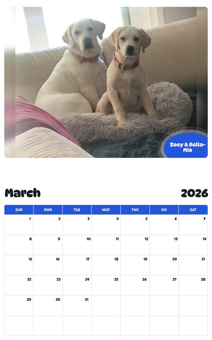 November 2025 - October 2026 Zoey & Bella-Mia - Pawidols Pet Calendar