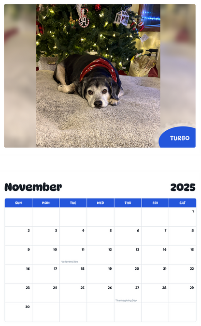 July 2025 - June 2026 Turbo - Pawidols Pet Calendar