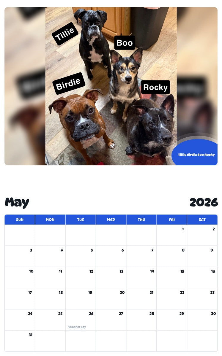 2026 - 2027 Tillie Birdie Boo Rocky - Pawidols Pet Calendar