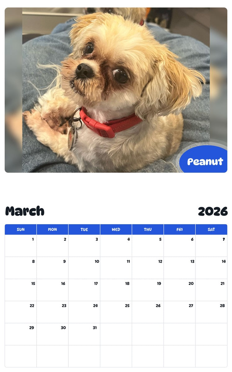 November 2025 - October 2026 Peanut - Pawidols Pet Calendar