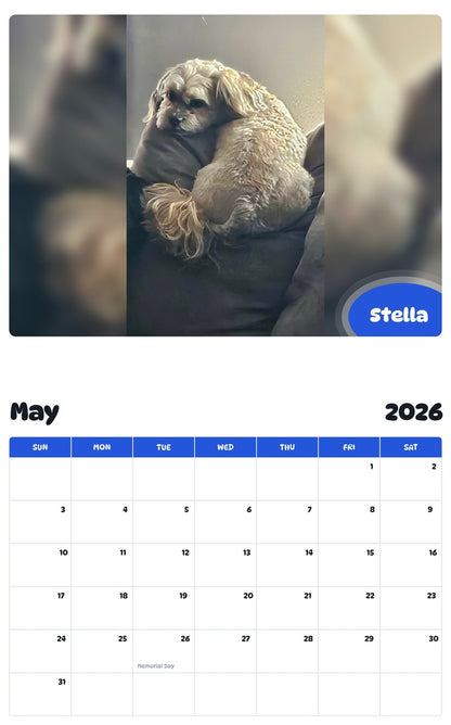 2026 - 2027 Stella - Pawidols Pet Calendar