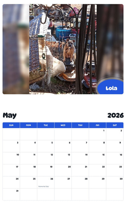 2026 - 2027 Lola - Pawidols Pet Calendar