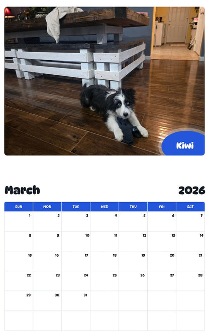 November 2025 - October 2026 Kiwi - Pawidols Pet Calendar