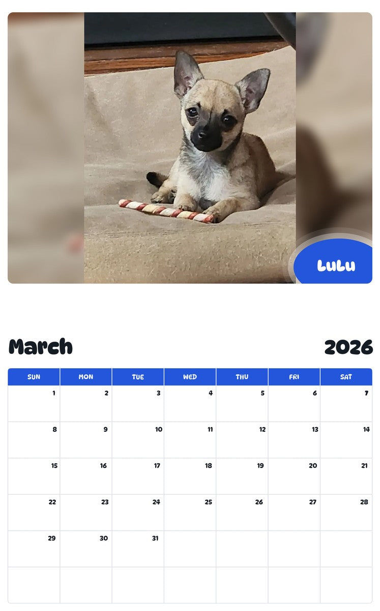November 2025 - October 2026 LuLu - Pawidols Pet Calendar