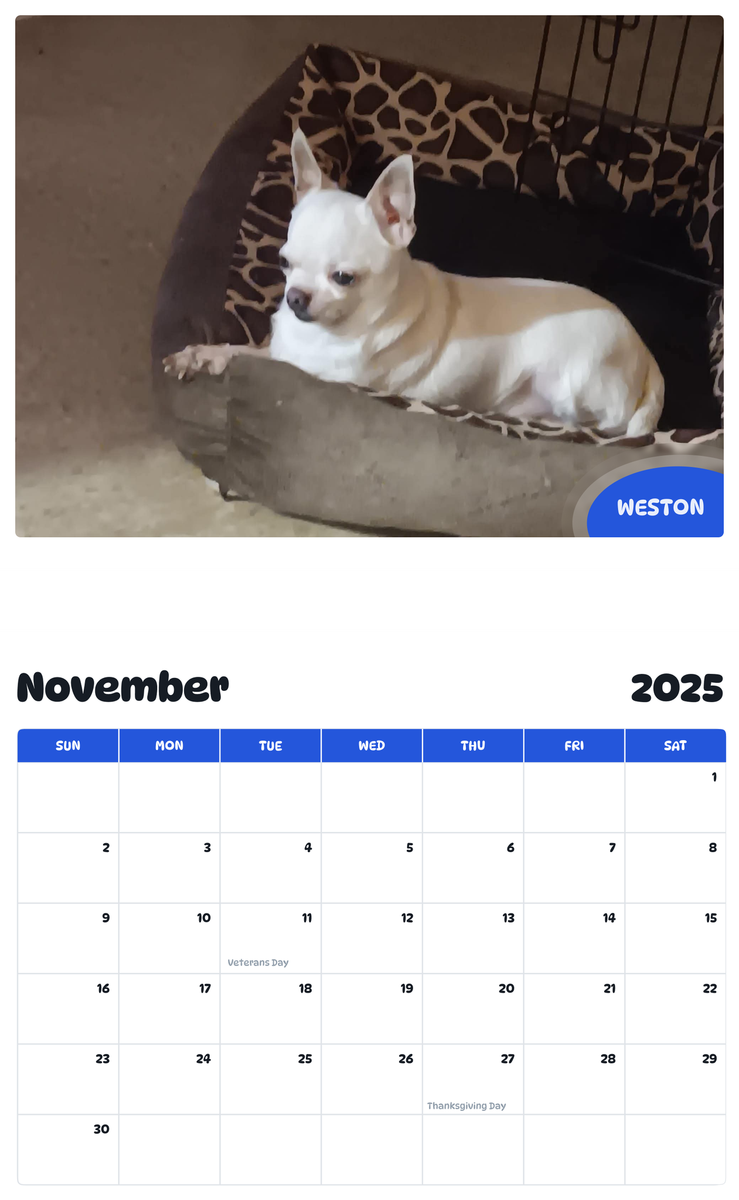 July 2025 - June 2026 Weston - Pawidols Pet Calendar