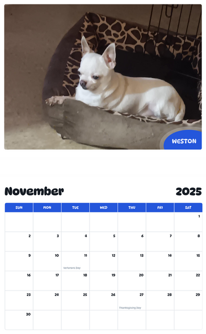 July 2025 - June 2026 Weston - Pawidols Pet Calendar