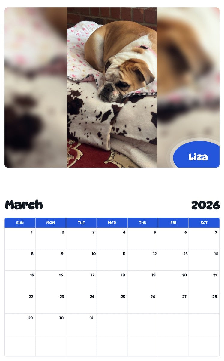 November 2025 - October 2026 Liza - Pawidols Pet Calendar